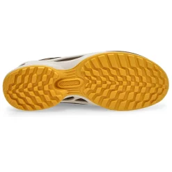 Ecco Biom Energi Explorer Men| Sneakers And Athletic