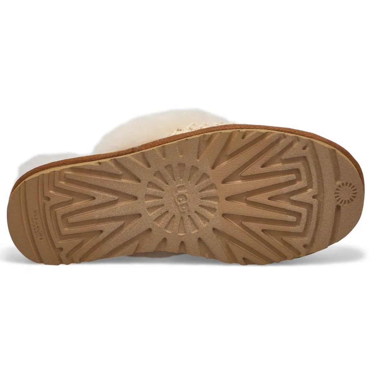 UGG Cozy Women|Women Slippers & Moccasins