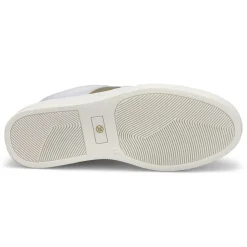 Steve Madden Dell Women|Women Sneakers And Athletic