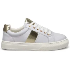 Steve Madden Dell Women|Women Sneakers And Athletic