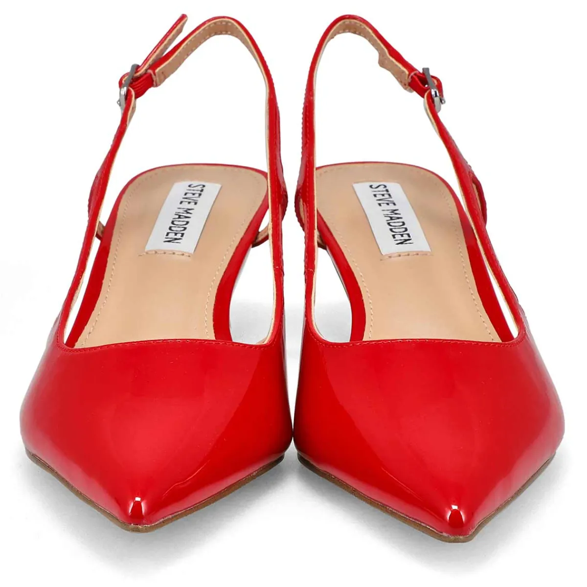 Steve Madden Legaci Women|Women Shoes