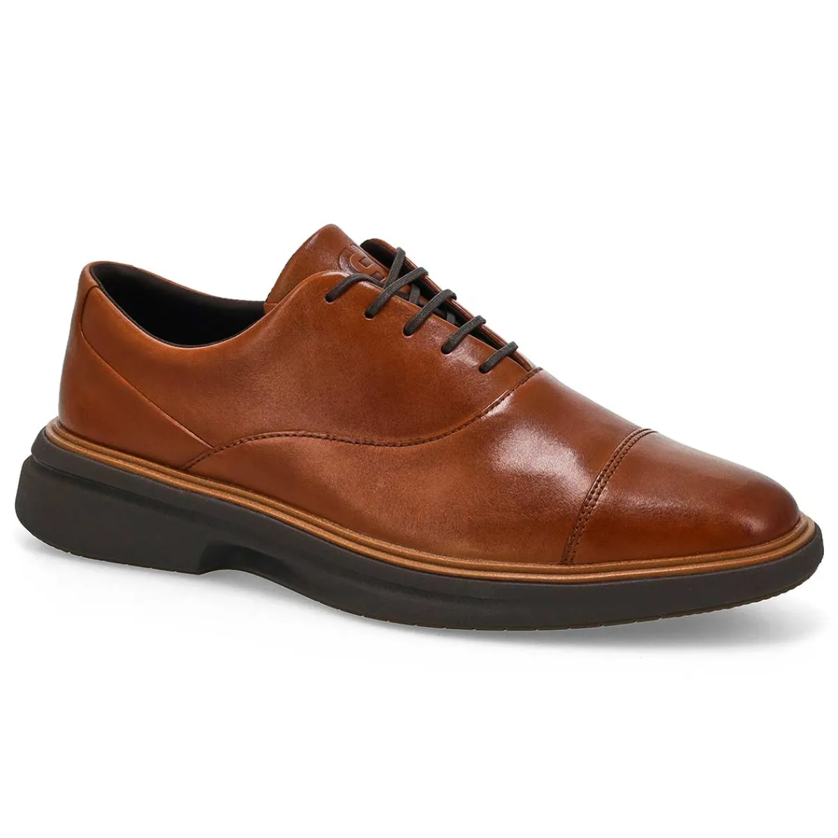 Cole Haan Orginal Grand Cityspectre Men| Shoes