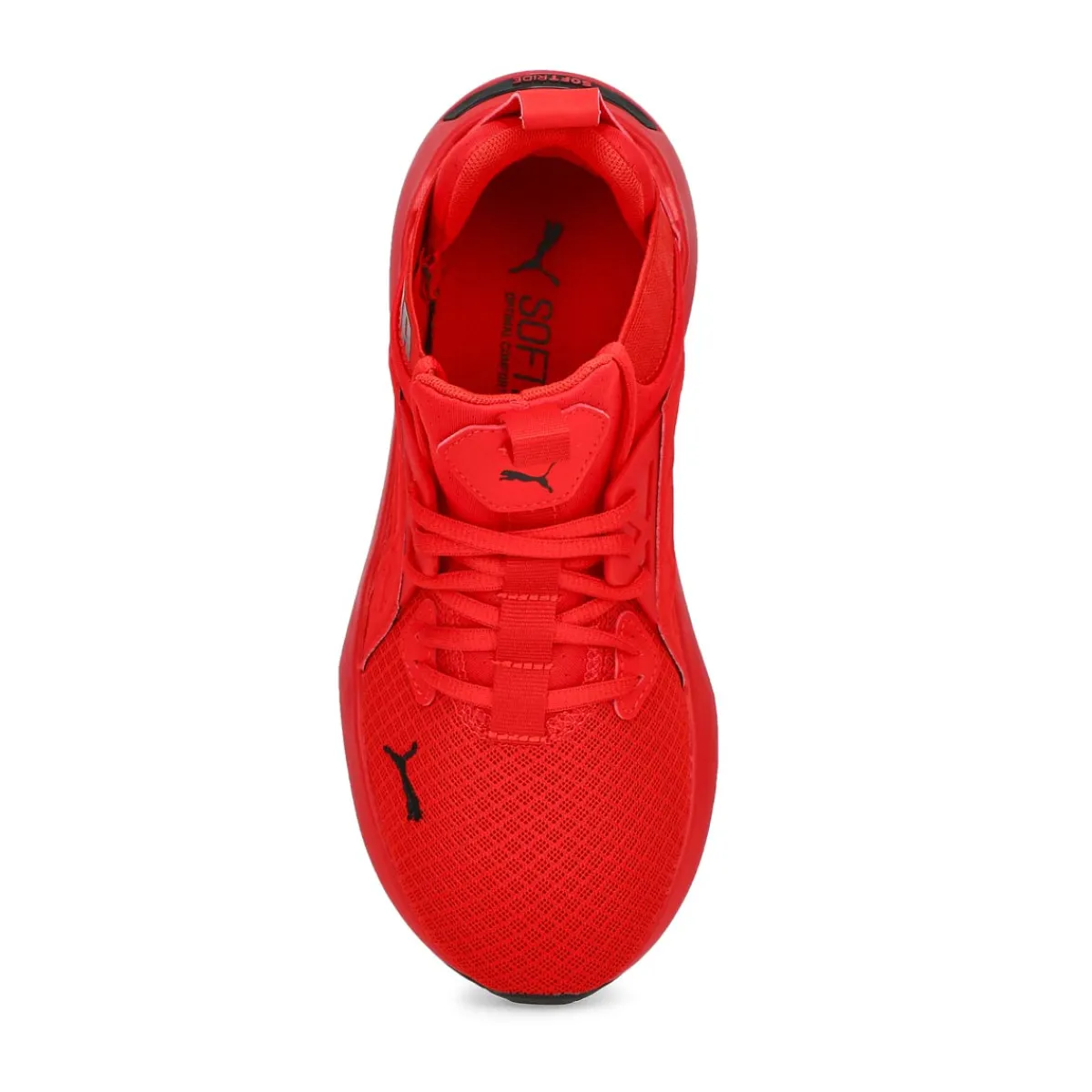 Puma Softride Enzo NXT Jr Boys|Kids/BOY Sneakers And Athletic